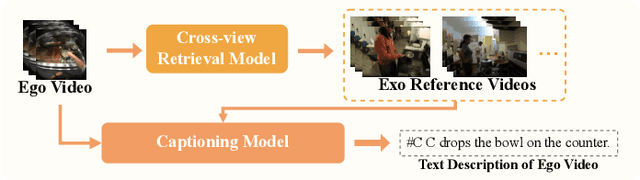 Figure 3 for Bridging Perspectives: A Survey on Cross-view Collaborative Intelligence with Egocentric-Exocentric Vision