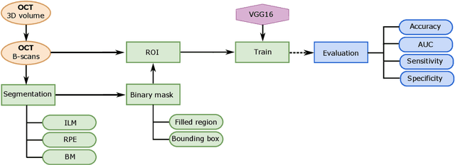 Figure 1 for Comparison of different retinal regions-of-interest imaged by OCT for the classification of intermediate AMD