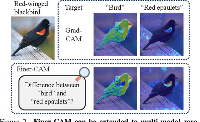 Figure 2 for Finer-CAM: Spotting the Difference Reveals Finer Details for Visual Explanation