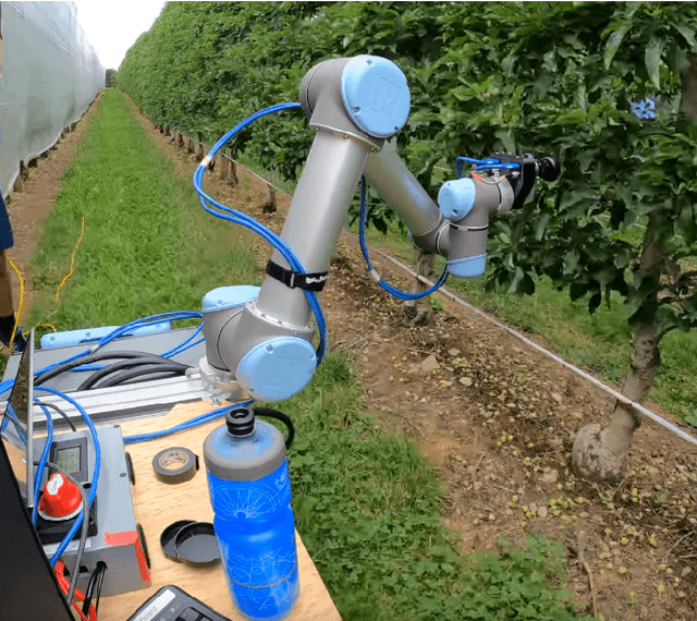 Figure 1 for Seeing the Fruit for the Leaves: Towards Automated Apple Fruitlet Thinning