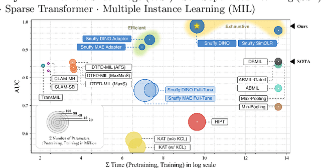Figure 1 for Snuffy: Efficient Whole Slide Image Classifier