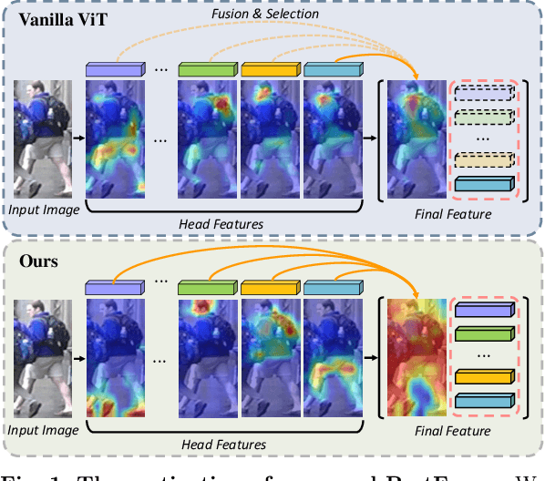 Figure 1 for PartFormer: Awakening Latent Diverse Representation from Vision Transformer for Object Re-Identification