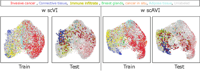 Figure 4 for Towards Spatial Transcriptomics-guided Pathological Image Recognition with Batch-Agnostic Encoder