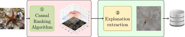 Figure 3 for Causal Explanations for Image Classifiers