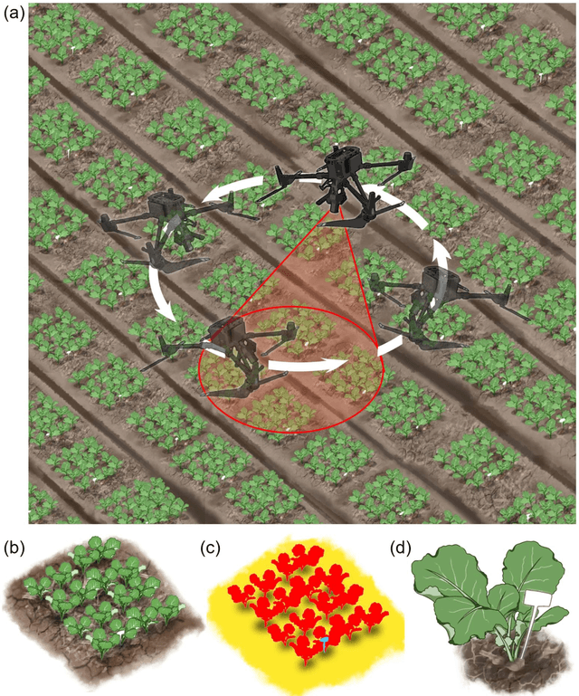 Figure 3 for Biomass phenotyping of oilseed rape through UAV multi-view oblique imaging with 3DGS and SAM model