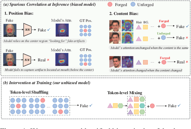 Figure 1 for Exploring Unbiased Deepfake Detection via Token-Level Shuffling and Mixing