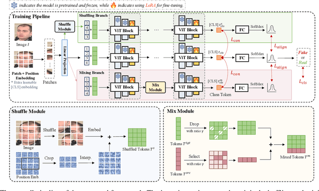 Figure 3 for Exploring Unbiased Deepfake Detection via Token-Level Shuffling and Mixing