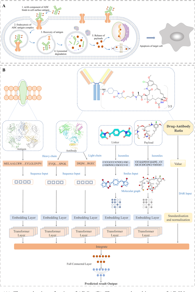 Figure 1 for ADCNet: a unified framework for predicting the activity of antibody-drug conjugates