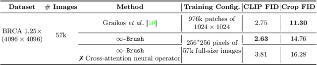 Figure 4 for $\infty$-Brush: Controllable Large Image Synthesis with Diffusion Models in Infinite Dimensions