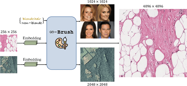 Figure 1 for $\infty$-Brush: Controllable Large Image Synthesis with Diffusion Models in Infinite Dimensions