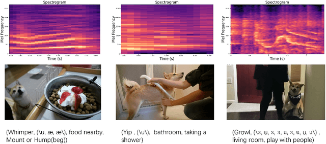Figure 1 for Towards Lexical Analysis of Dog Vocalizations via Online Videos