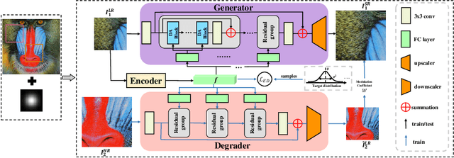 Figure 3 for Preserving Full Degradation Details for Blind Image Super-Resolution