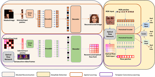 Figure 3 for Unmasking Deepfakes: Masked Autoencoding Spatiotemporal Transformers for Enhanced Video Forgery Detection