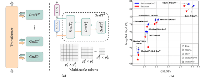 Figure 1 for Grafting Vision Transformers