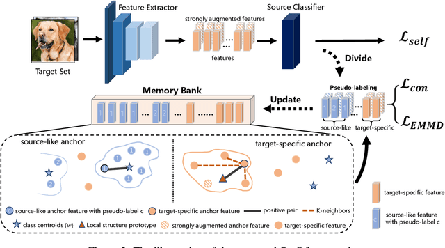 Figure 3 for Divide and Contrast: Source-free Domain Adaptation via Adaptive Contrastive Learning