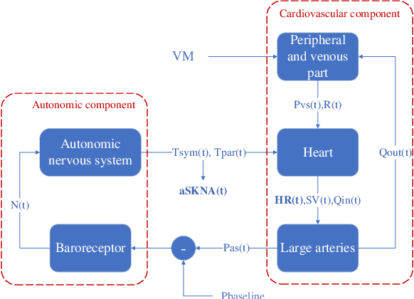 Figure 1 for A Mathematical Model for Skin Sympathetic Nerve Activity Simulation