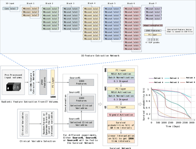 Figure 1 for Multimodal Deep Learning for Personalized Renal Cell Carcinoma Prognosis: Integrating CT Imaging and Clinical Data