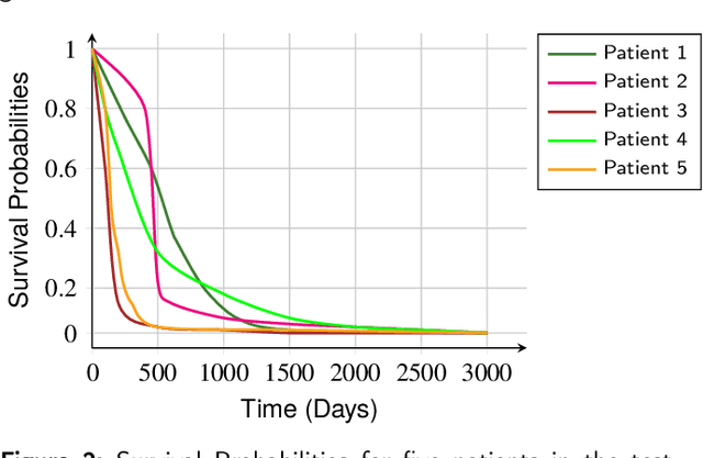 Figure 3 for Multimodal Deep Learning for Personalized Renal Cell Carcinoma Prognosis: Integrating CT Imaging and Clinical Data