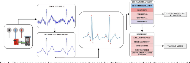 Figure 1 for Vascular Ageing and Smoking Habit Prediction via a Low-Cost Single-Lead ECG Module