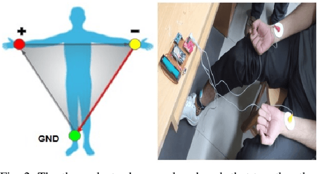 Figure 2 for Vascular Ageing and Smoking Habit Prediction via a Low-Cost Single-Lead ECG Module