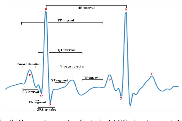 Figure 3 for Vascular Ageing and Smoking Habit Prediction via a Low-Cost Single-Lead ECG Module