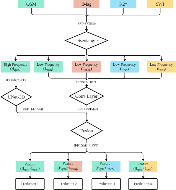 Figure 1 for Fourier Disentangled Multimodal Prior Knowledge Fusion for Red Nucleus Segmentation in Brain MRI