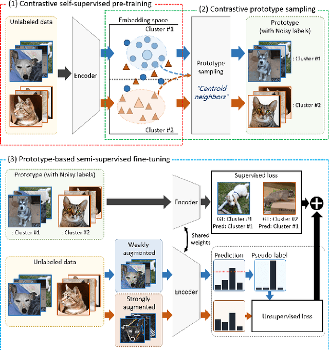 Figure 2 for ContraCluster: Learning to Classify without Labels by Contrastive Self-Supervision and Prototype-Based Semi-Supervision