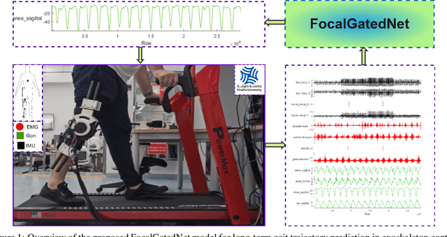 Figure 1 for FocalGatedNet: A Novel Deep Learning Model for Accurate Knee Joint Angle Prediction