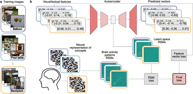 Figure 1 for Brain-grounding of semantic vectors improves neural decoding of visual stimuli