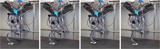 Figure 4 for Bipedal walking with continuously compliant robotic legs