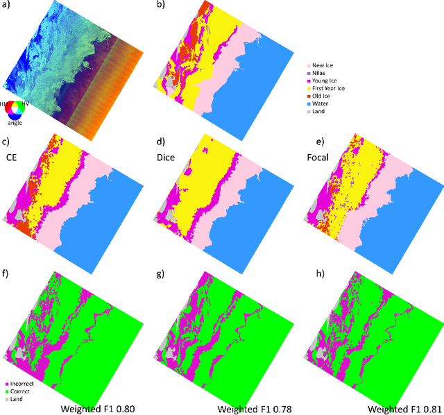 Figure 1 for Comparison of Cross-Entropy, Dice, and Focal Loss for Sea Ice Type Segmentation