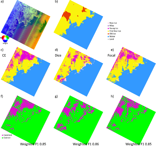 Figure 2 for Comparison of Cross-Entropy, Dice, and Focal Loss for Sea Ice Type Segmentation