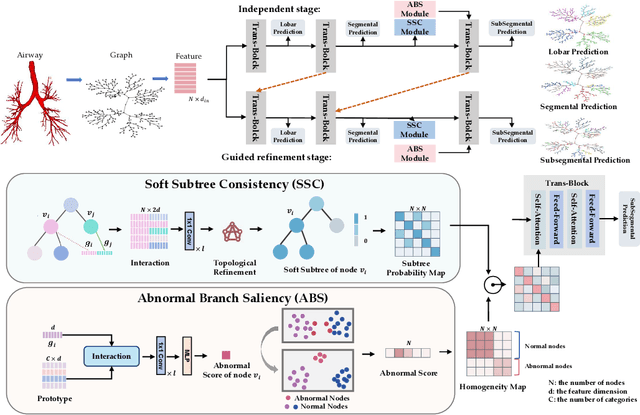 Figure 3 for Airway Labeling Meets Clinical Applications: Reflecting Topology Consistency and Outliers via Learnable Attentions