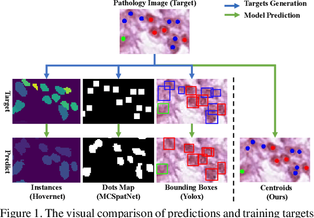 Figure 1 for Affine-Consistent Transformer for Multi-Class Cell Nuclei Detection