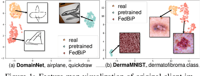 Figure 1 for FedBiP: Heterogeneous One-Shot Federated Learning with Personalized Latent Diffusion Models