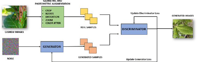 Figure 3 for Cashew dataset generation using augmentation and RaLSGAN and a transfer learning based tinyML approach towards disease detection