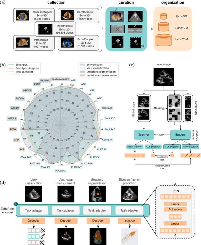 Figure 1 for EchoApex: A General-Purpose Vision Foundation Model for Echocardiography