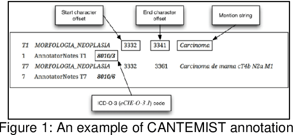 Figure 1 for FRASIMED: a Clinical French Annotated Resource Produced through Crosslingual BERT-Based Annotation Projection