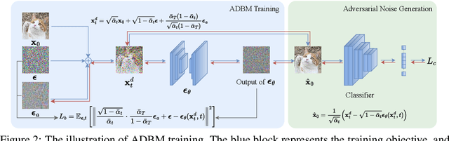 Figure 3 for ADBM: Adversarial diffusion bridge model for reliable adversarial purification