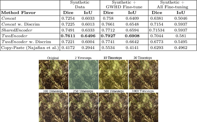 Figure 2 for SynthSet: Generative Diffusion Model for Semantic Segmentation in Precision Agriculture