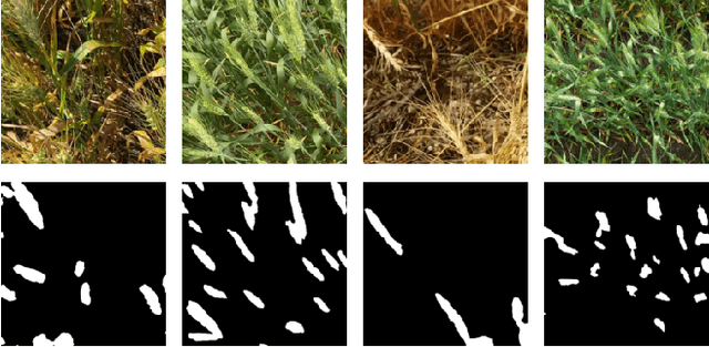 Figure 1 for SynthSet: Generative Diffusion Model for Semantic Segmentation in Precision Agriculture