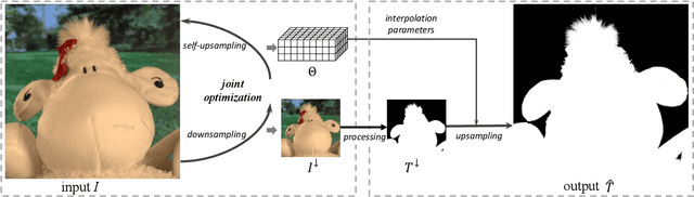 Figure 1 for Guided Linear Upsampling