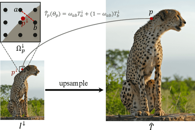 Figure 3 for Guided Linear Upsampling