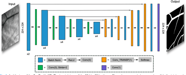 Figure 4 for Robust Real-time Segmentation of Bio-Morphological Features in Human Cherenkov Imaging during Radiotherapy via Deep Learning