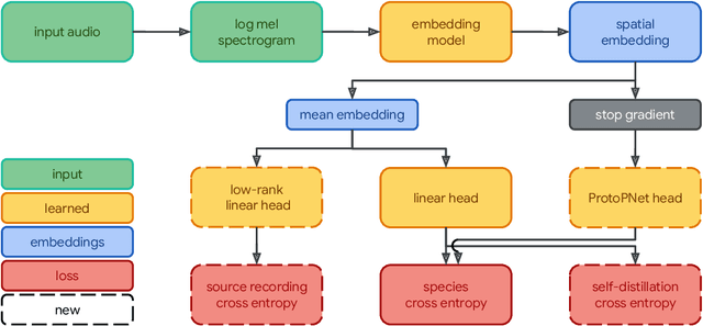 Figure 3 for Perch 2.0: The Bittern Lesson for Bioacoustics