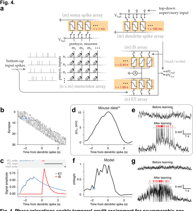 Figure 4 for Temporal credit assignment for one-shot learning utilizing a phase transition material