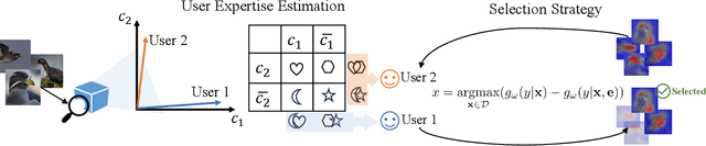 Figure 3 for I-CEE: Tailoring Explanations of Image Classifications Models to User Expertise