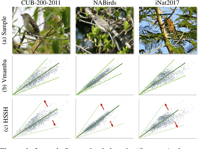 Figure 1 for Learning Fine-grained Domain Generalization via Hyperbolic State Space Hallucination