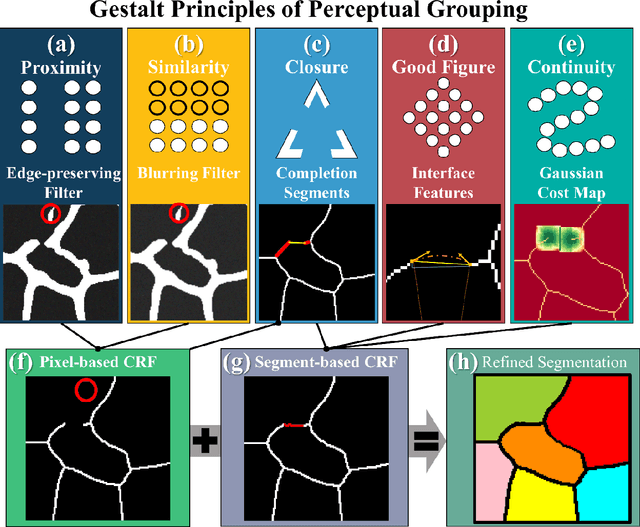 Figure 1 for Human Perception-Inspired Grain Segmentation Refinement Using Conditional Random Fields
