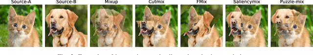 Figure 2 for Mixup Augmentation with Multiple Interpolations